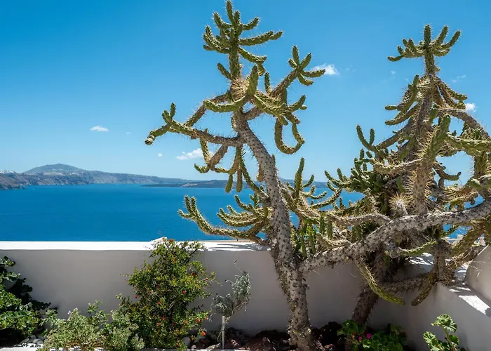 Passion Blue Oia (Santorini)