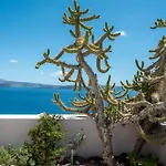 Passion Blue Oia