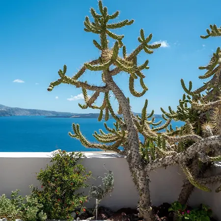 Passion Blue Oia (Santorini)